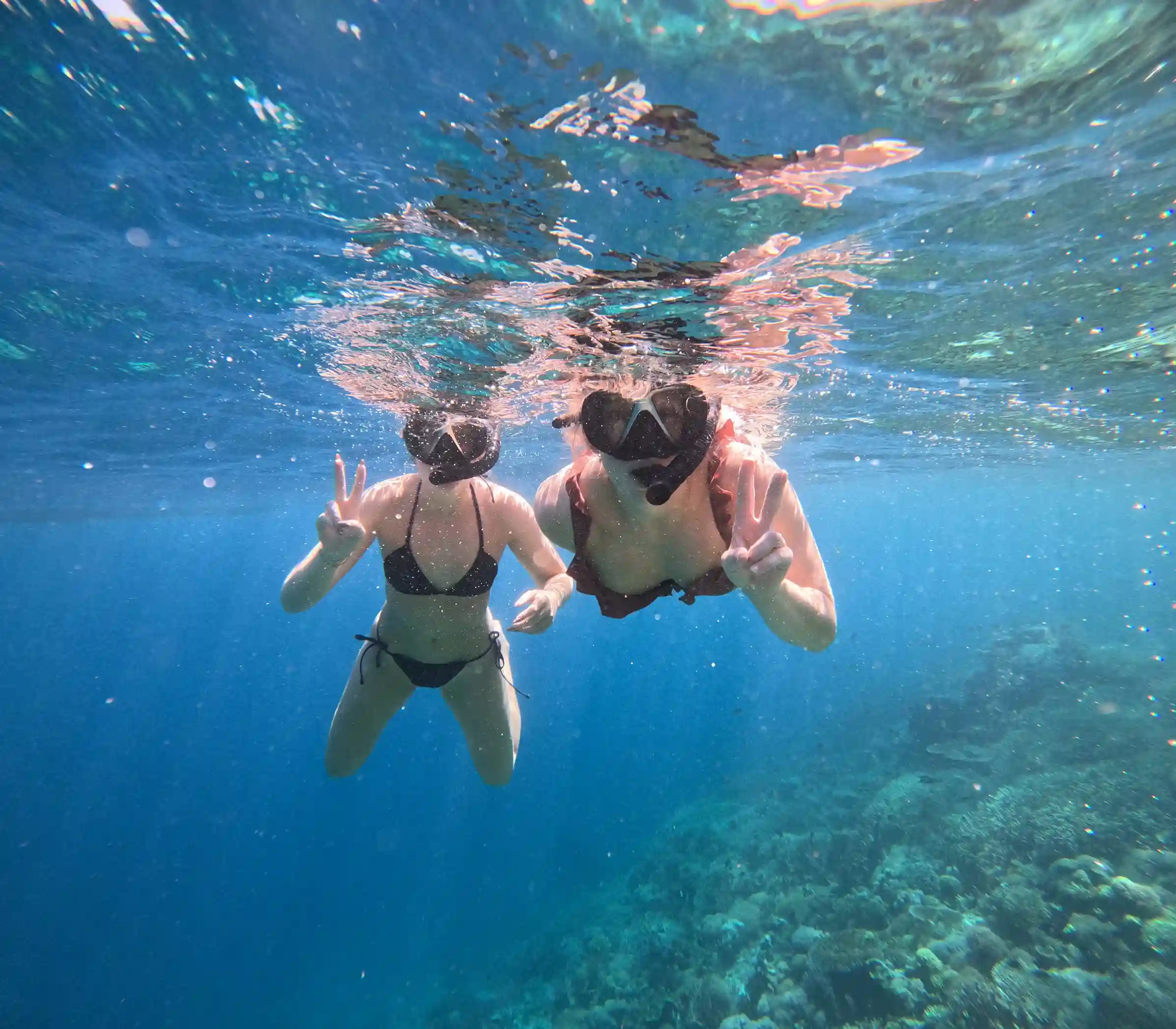 9D8N Komodo Tour | Komodo National Park, Komodo Island, Labuan Bajo | Komodo Luxury